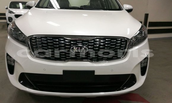 Buy Import Kia Sorento White Car in Import - Dubai in Agalega Islands