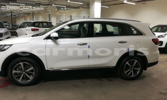 Buy Import Kia Sorento White Car in Import - Dubai in Agalega Islands Buy Import Kia Sorento White Car in Import - Dubai in Agalega Islands