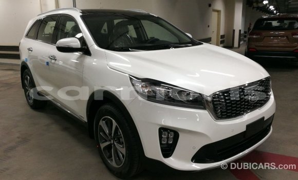 Buy Import Kia Sorento White Car in Import - Dubai in Agalega Islands Buy Import Kia Sorento White Car in Import - Dubai in Agalega Islands