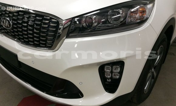 Buy Import Kia Sorento White Car in Import - Dubai in Agalega Islands Buy Import Kia Sorento White Car in Import - Dubai in Agalega Islands