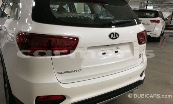Buy Import Kia Sorento White Car in Import - Dubai in Agalega Islands Buy Import Kia Sorento White Car in Import - Dubai in Agalega Islands