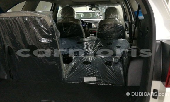 Buy Import Kia Sorento White Car in Import - Dubai in Agalega Islands Buy Import Kia Sorento White Car in Import - Dubai in Agalega Islands