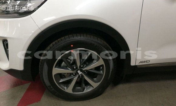 Buy Import Kia Sorento White Car in Import - Dubai in Agalega Islands Buy Import Kia Sorento White Car in Import - Dubai in Agalega Islands