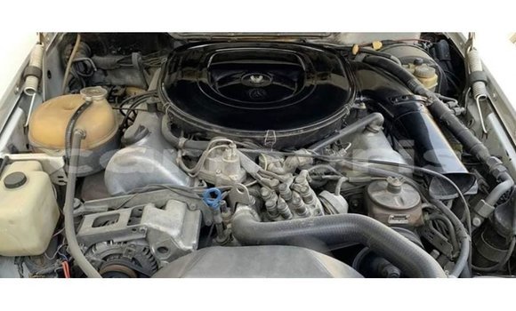 Buy Import Mercedes-Benz 190 White Car in Import - Dubai in Agalega Islands Buy Import Mercedes-Benz 190 White Car in Import - Dubai in Agalega Islands