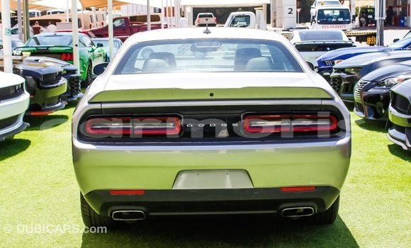 Buy Import Dodge Challenger Other Car in Import - Dubai in Agalega Islands Buy Import Dodge Challenger Other Car in Import - Dubai in Agalega Islands