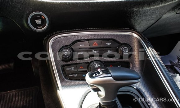 Buy Import Dodge Challenger Other Car in Import - Dubai in Agalega Islands Buy Import Dodge Challenger Other Car in Import - Dubai in Agalega Islands