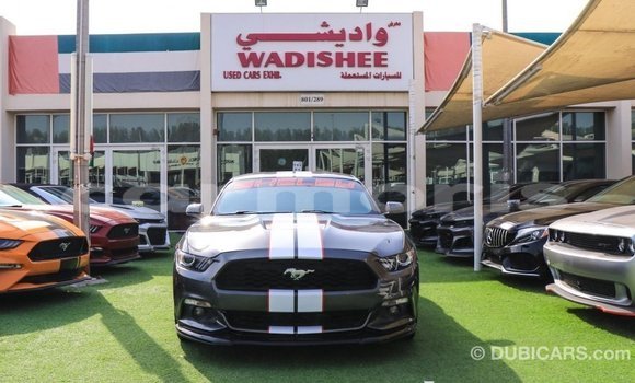 Buy Import Ford Mustang Other Car in Import - Dubai in Agalega Islands Buy Import Ford Mustang Other Car in Import - Dubai in Agalega Islands