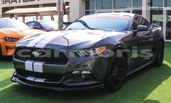 Buy Import Ford Mustang Other Car in Import - Dubai in Agalega Islands Buy Import Ford Mustang Other Car in Import - Dubai in Agalega Islands