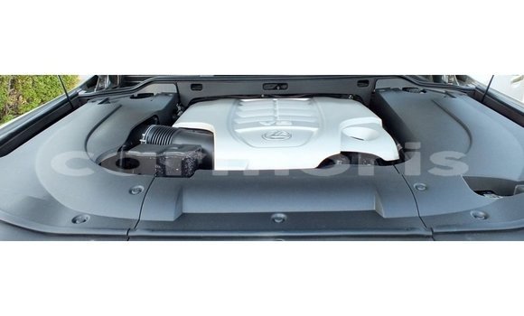 Buy Import Lexus LX Other Car in Import - Dubai in Agalega Islands Buy Import Lexus LX Other Car in Import - Dubai in Agalega Islands