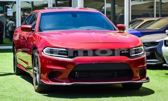 Buy Import Dodge Charger Red Car in Import - Dubai in Agalega Islands