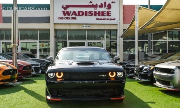 Buy Import Dodge Challenger Black Car in Import - Dubai in Agalega Islands Buy Import Dodge Challenger Black Car in Import - Dubai in Agalega Islands