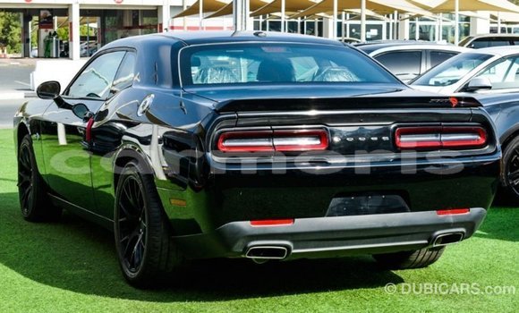 Buy Import Dodge Challenger Black Car in Import - Dubai in Agalega Islands Buy Import Dodge Challenger Black Car in Import - Dubai in Agalega Islands