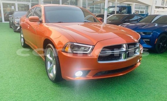 Buy Import Dodge Charger Other Car in Import - Dubai in Agalega Islands