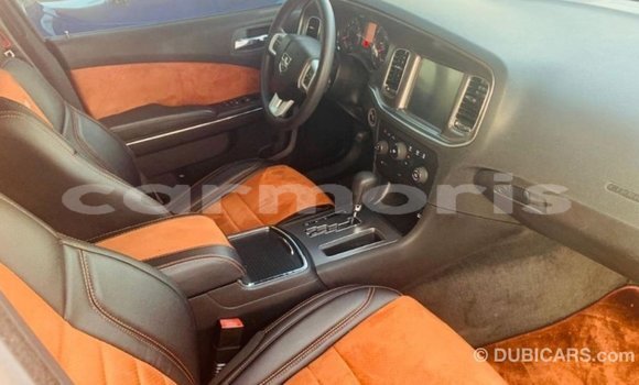 Buy Import Dodge Charger Other Car in Import - Dubai in Agalega Islands Buy Import Dodge Charger Other Car in Import - Dubai in Agalega Islands