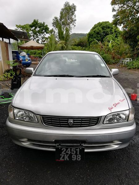 Big with watermark 52094059 823613607991948 2948544007036207104 n