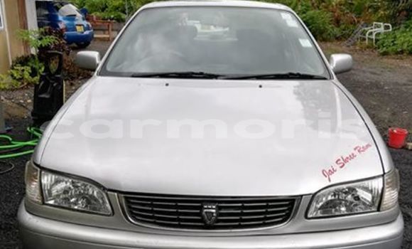 Acheter Occasion Voiture Toyota Corolla Gris à Flacq central, Flacq Acheter Occasion Voiture Toyota Corolla Gris à Flacq central, Flacq