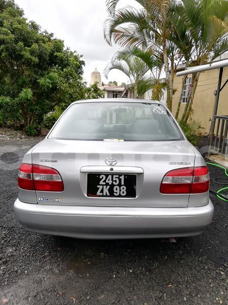 Big with watermark 51993469 823613631325279 6249407303804518400 n