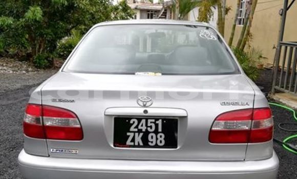 Acheter Occasion Voiture Toyota Corolla Gris à Flacq central, Flacq Acheter Occasion Voiture Toyota Corolla Gris à Flacq central, Flacq