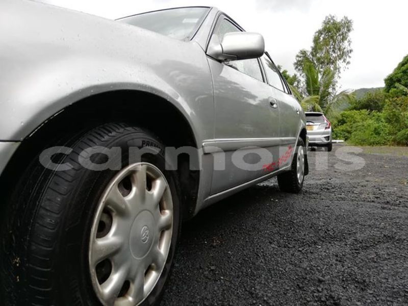 Big with watermark 52694986 823613647991944 3896434128098164736 n