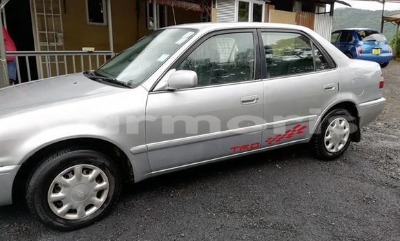 Acheter Occasion Voiture Toyota Corolla Gris à Flacq central, Flacq Acheter Occasion Voiture Toyota Corolla Gris à Flacq central, Flacq