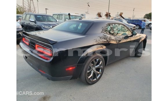 Buy Import Dodge Challenger Black Car in Import - Dubai in Agalega Islands Buy Import Dodge Challenger Black Car in Import - Dubai in Agalega Islands