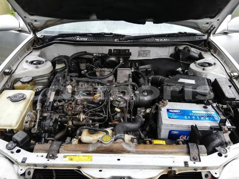 Big with watermark 52184145 823613727991936 4040332961491451904 n