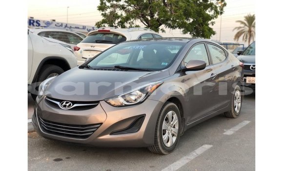 Buy Import Hyundai Elantra Brown Car in Import - Dubai in Agalega Islands Buy Import Hyundai Elantra Brown Car in Import - Dubai in Agalega Islands