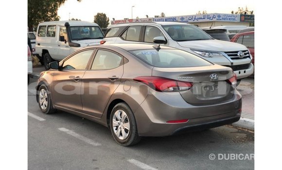 Buy Import Hyundai Elantra Brown Car in Import - Dubai in Agalega Islands Buy Import Hyundai Elantra Brown Car in Import - Dubai in Agalega Islands