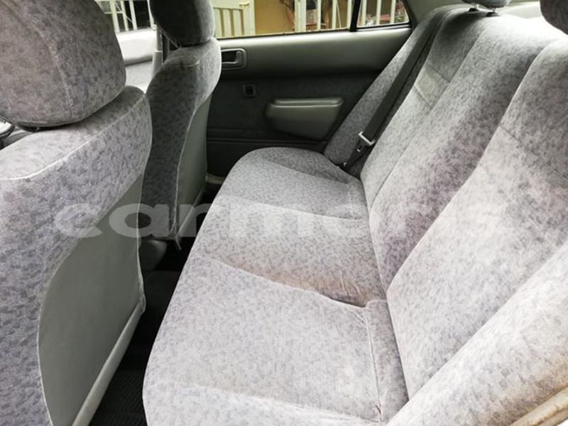 Big with watermark 52113279 823613814658594 2427648414872240128 n