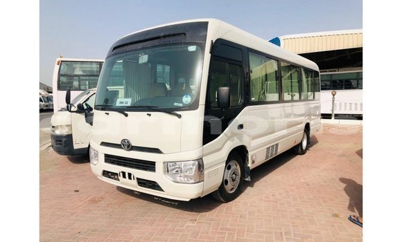 Buy Import Toyota Coaster White Car in Import - Dubai in Agalega Islands
