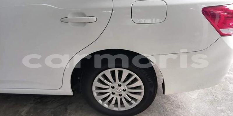 Big with watermark 49742694 790387627981213 3611136282601717760 o