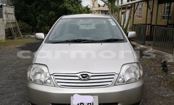 Acheter Occasion Voiture Toyota Corolla Gris à Flacq central, Flacq Acheter Occasion Voiture Toyota Corolla Gris à Flacq central, Flacq