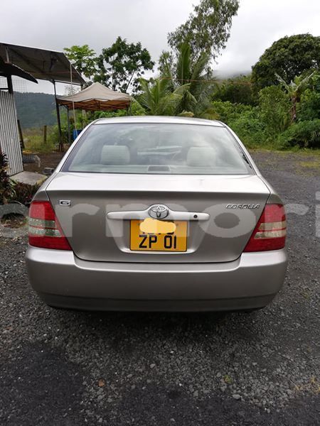 Big with watermark 49896284 789558094730833 4069617195271847936 n