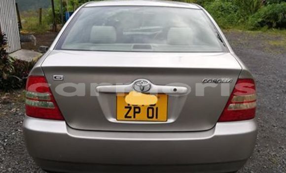 Acheter Occasion Voiture Toyota Corolla Gris à Flacq central, Flacq Acheter Occasion Voiture Toyota Corolla Gris à Flacq central, Flacq