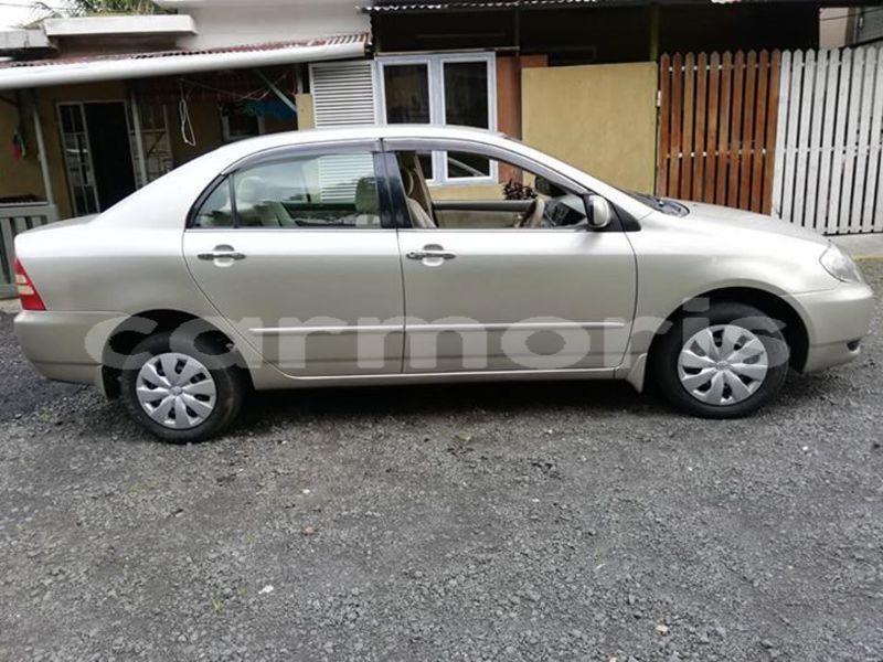 Big with watermark 49948782 789558118064164 1443758019669131264 n