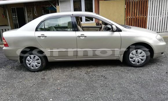 Acheter Occasion Voiture Toyota Corolla Gris à Flacq central, Flacq Acheter Occasion Voiture Toyota Corolla Gris à Flacq central, Flacq