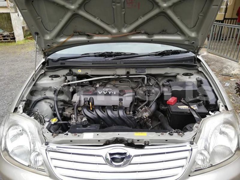 Big with watermark 49948574 789558144730828 8900789107815350272 n