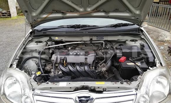 Acheter Occasion Voiture Toyota Corolla Gris à Flacq central, Flacq Acheter Occasion Voiture Toyota Corolla Gris à Flacq central, Flacq