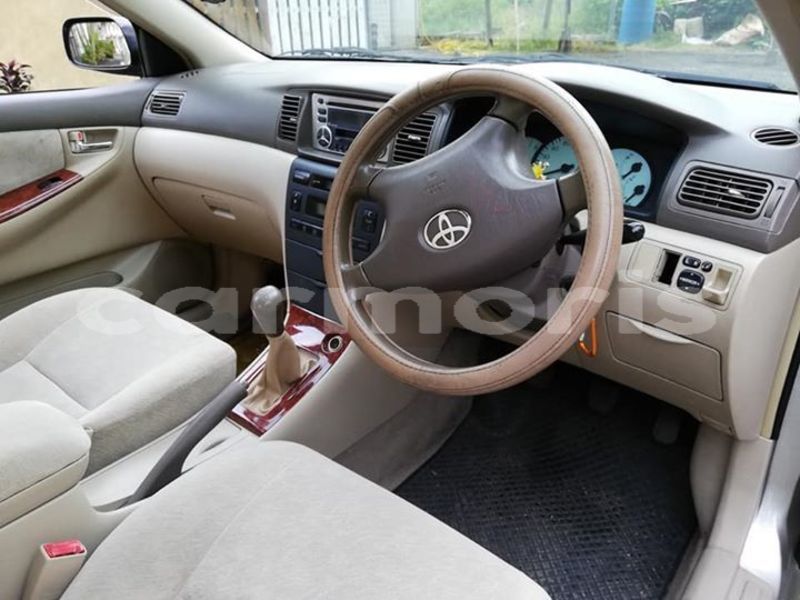 Big with watermark 49896196 789558181397491 3836036000174309376 n