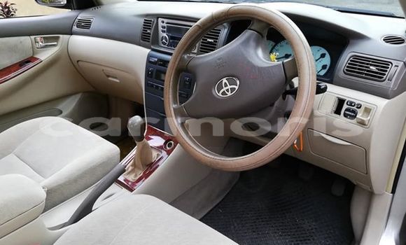 Acheter Occasion Voiture Toyota Corolla Gris à Flacq central, Flacq Acheter Occasion Voiture Toyota Corolla Gris à Flacq central, Flacq