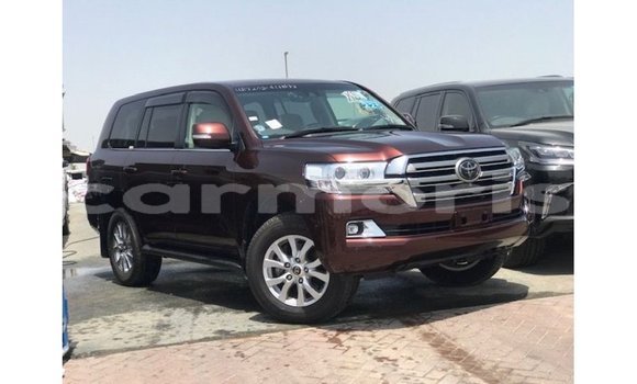 Buy Import Toyota Land Cruiser Red Car in Import - Dubai in Agalega Islands