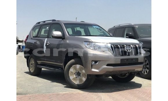 Acheter Import Voiture Toyota Prado Marron à Import - Dubai, Îles Agalega Acheter Import Voiture Toyota Prado Marron à Import - Dubai, Îles Agalega