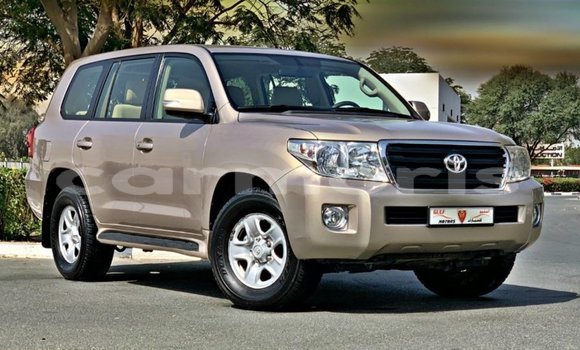 Buy Import Toyota Land Cruiser Other Car in Import - Dubai in Agalega Islands