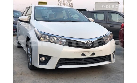 Buy Import Toyota Corolla White Car in Import - Dubai in Agalega Islands Buy Import Toyota Corolla White Car in Import - Dubai in Agalega Islands