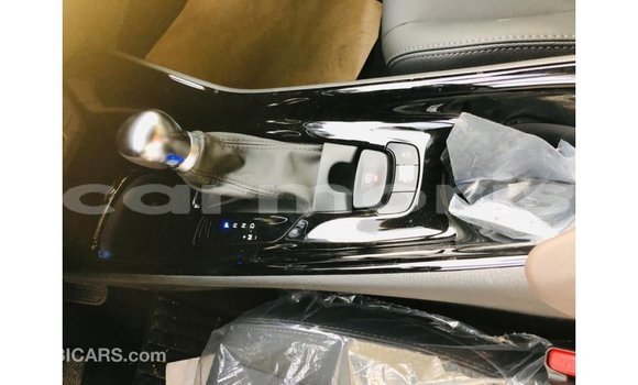 Buy Import Toyota C-HR Other Car in Import - Dubai in Agalega Islands Buy Import Toyota C-HR Other Car in Import - Dubai in Agalega Islands