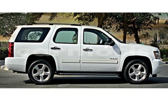 Buy Import Chevrolet Tahoe White Car in Import - Dubai in Agalega Islands Buy Import Chevrolet Tahoe White Car in Import - Dubai in Agalega Islands