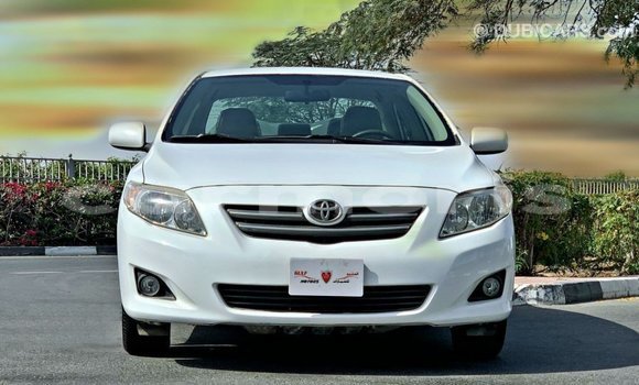 Buy Import Toyota Corolla White Car in Import - Dubai in Agalega Islands Buy Import Toyota Corolla White Car in Import - Dubai in Agalega Islands