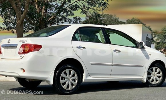 Buy Import Toyota Corolla White Car in Import - Dubai in Agalega Islands Buy Import Toyota Corolla White Car in Import - Dubai in Agalega Islands