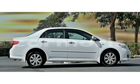 Buy Import Toyota Corolla White Car in Import - Dubai in Agalega Islands Buy Import Toyota Corolla White Car in Import - Dubai in Agalega Islands
