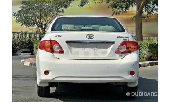 Buy Import Toyota Corolla White Car in Import - Dubai in Agalega Islands Buy Import Toyota Corolla White Car in Import - Dubai in Agalega Islands